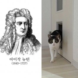 “펫도어를 뉴턴이 발명했다니!” 고양이한테서 영감 얻은 발명품 5