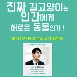 찰카기×나응식, “진짜 길고양이는 인간에게 해로운 동물인가”