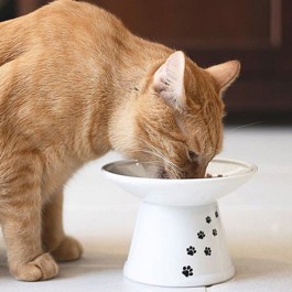 고양이가 가장 밥먹기 편한 밥그릇, 네코이찌 엑스트라 와이드 푸드볼